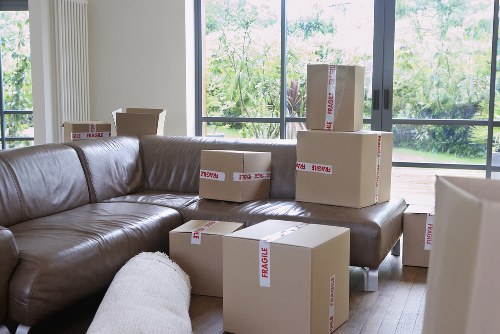 Professional man and van team assisting with a move in Battersea